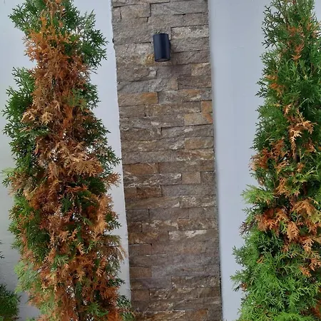 Zlatiborske Cari דירה *