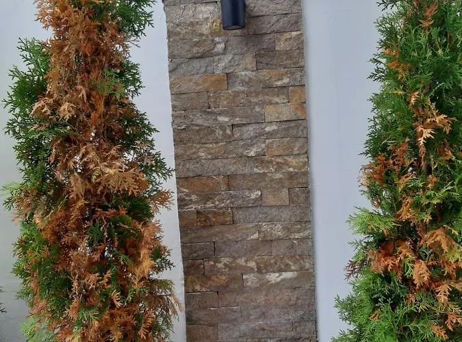 Zlatiborske Cari 公寓 *